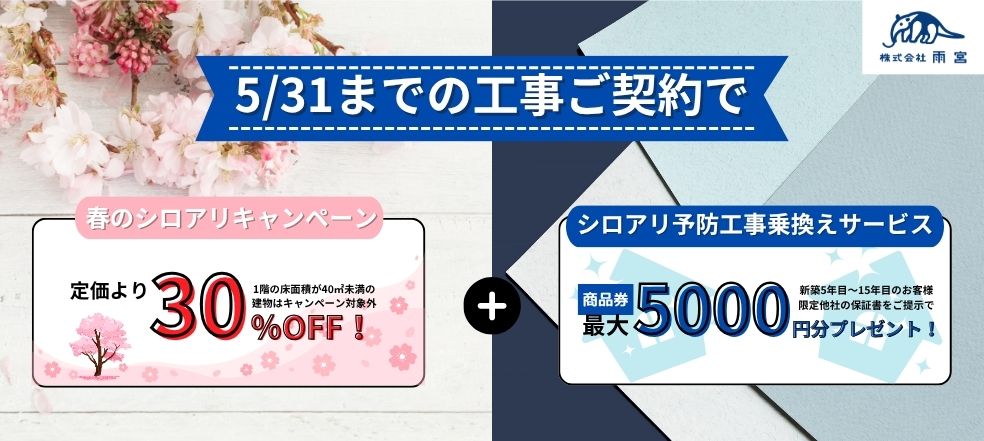 シロアリ工事スプリングキャンペーン