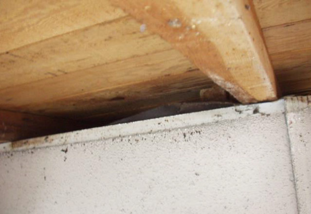 コウモリの侵入が確認された住宅の隙間の例