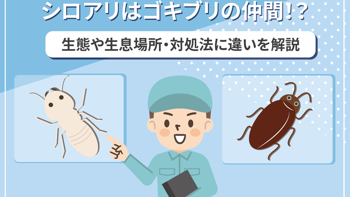 シロアリはゴキブリの仲間 生態や対処法の違いを比較解説 シロアリの雨宮のコラム