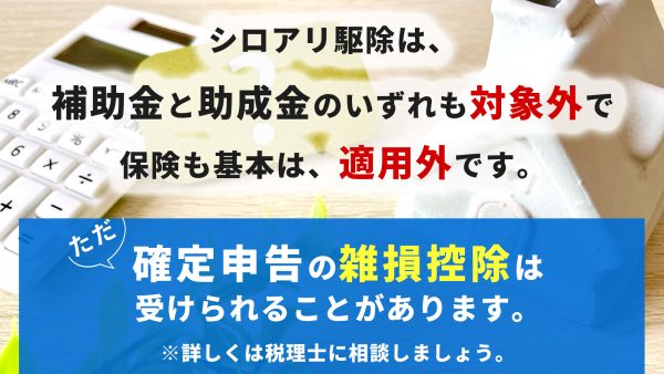 シロアリ駆除に対する補助金はある？費用をお得にする方法を紹介