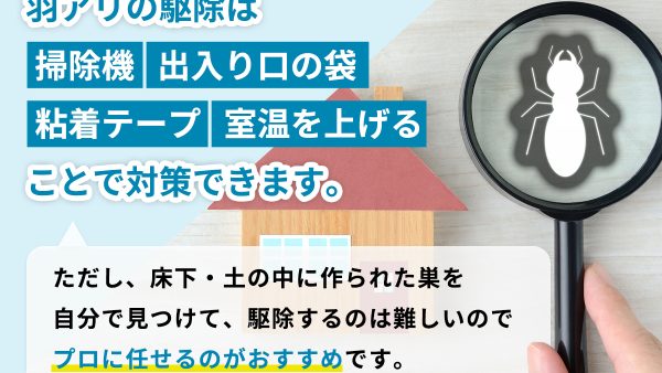 羽アリを駆除する方法とは？見分け方や発生原因についても徹底解説！