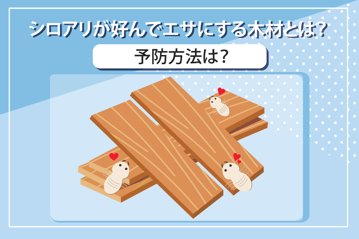 シロアリが好んでエサにする木材とは？予防方法とあわせて詳しく解説