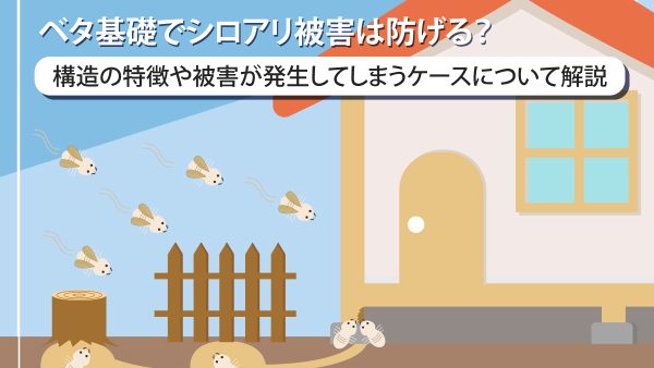 ベタ基礎でシロアリ被害は防げる？構造の特徴や被害が発生してしまうケースについて解説