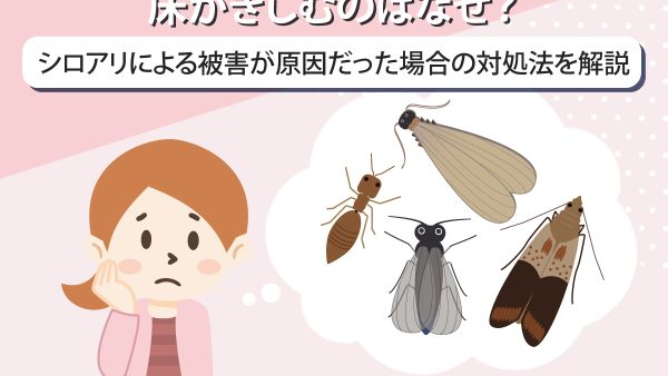 床がきしむのはなぜ？シロアリによる被害が原因だった場合の対処法を解説