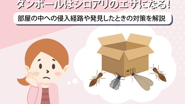 ダンボールはシロアリのエサになる！部屋の中への侵入経路や発見したときの対策を解説