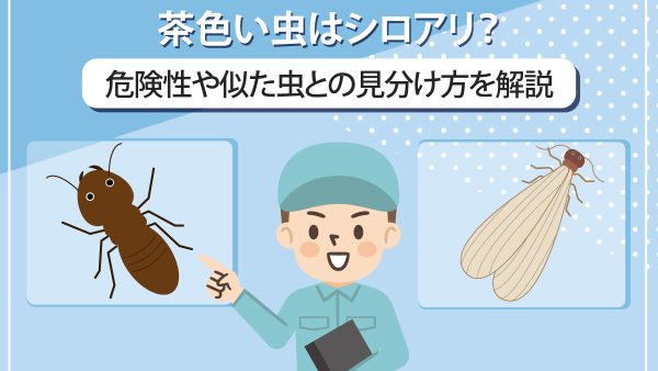 茶色い虫はシロアリ？危険性や似た虫との見分け方を解説