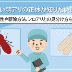 赤い羽アリの正体が知りたい！危険性や駆除方法、シロアリとの見分け方