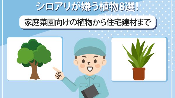 シロアリが嫌う植物8選