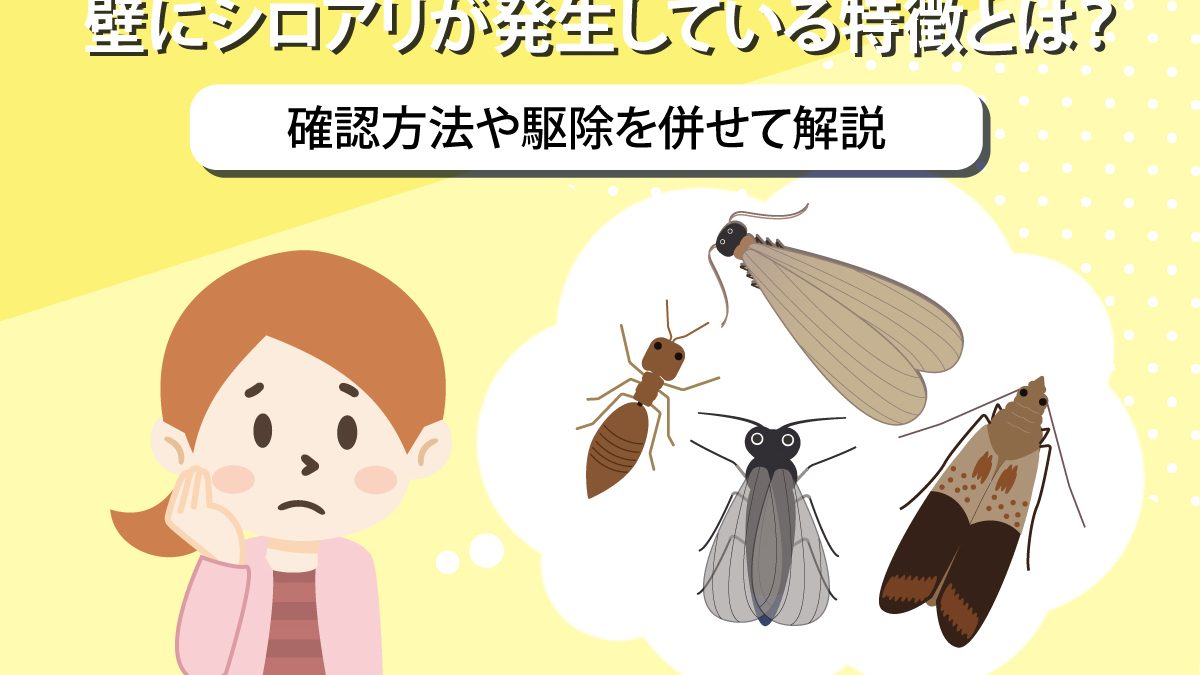 壁にシロアリが発生している特徴とは？確認方法や駆除を併せて解説 | シロアリの雨宮のコラム