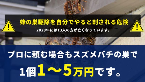 蜂の巣駆除は自分でできる？方法・手順と注意点、業者に頼む場合の費用相場などを解説