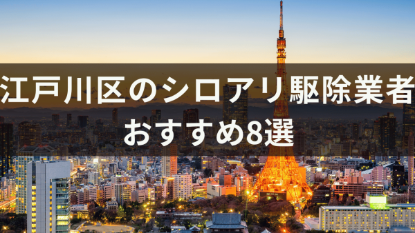 江戸川区のシロアリ駆除業者おすすめ8選！市販の薬剤を使うときの注意点も解説