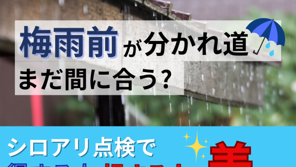 梅雨前が分かれ道。シロアリ点検で得する人・損する人の差とは？