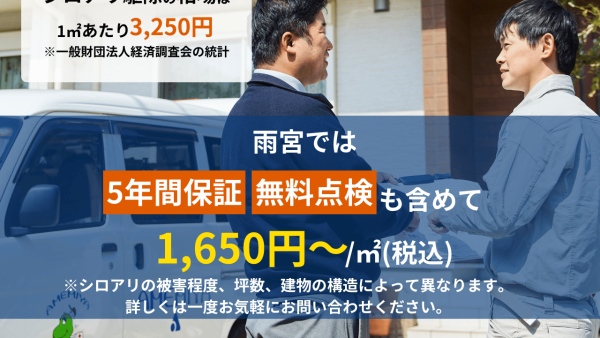 シロアリ駆除は自分でできる？プロの駆除費用の相場は？料金が安すぎるとリスクが高まる理由