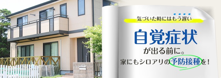 ワンランク上のシロアリ駆除