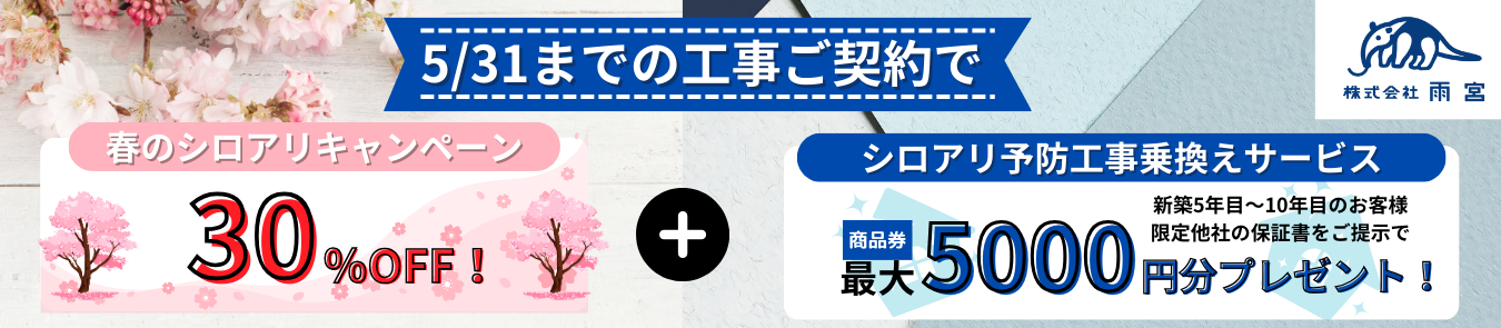 春キャンペーン