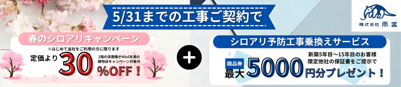 春キャンペーン