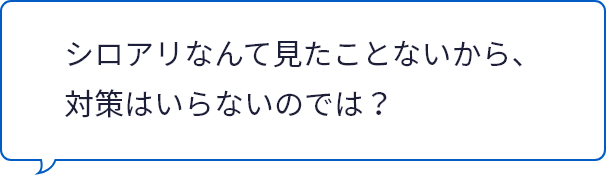 シロアリなんて見たことないから、対策はいらないのでは？