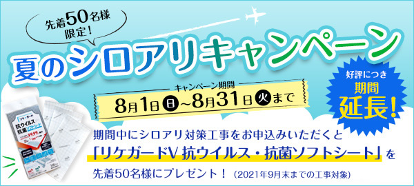夏のシロアリキャンペーン