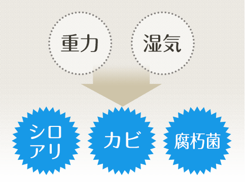 床下はシロアリ、カビ、腐朽菌の発生源